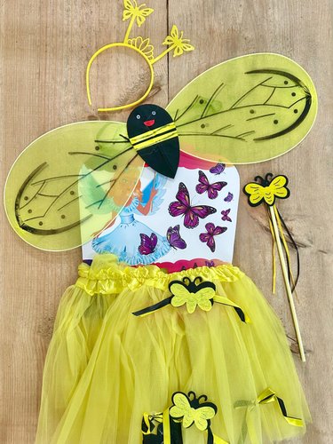 Fantasia Infantil Abelha