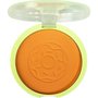 Blush Compacto Melu RR 871 - Pumpkin