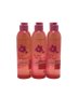 Sabonete Liquido Ludurana Rosa Mosqueta Corpo E Rosto B00296 Cor:Único;Tamanho:Único